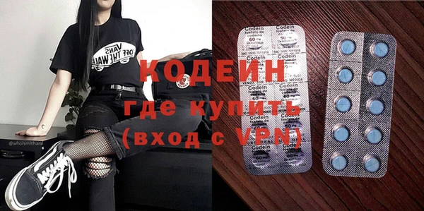 индика Гусев