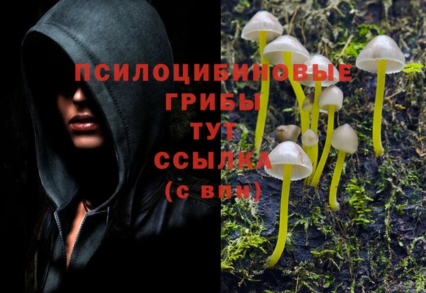 таблы Богданович