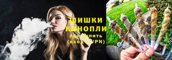 mdpv Богородицк