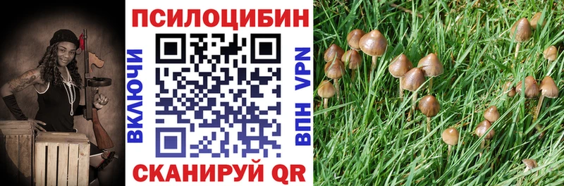 Псилоцибиновые грибы Psilocybe  Маркс 